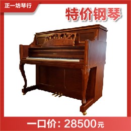 韦伯PW49FS BYCP-特价钢琴